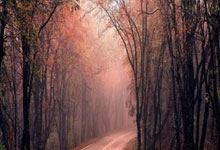 博鱼体育：[赛后]EDG.M 1-3 Hero：Silver公孙离灵性偷家，Hero率先锁定S组25亮62回复.