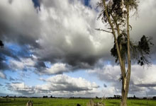 朱正在美國追夢 上海青年隊給了他個光明前途.