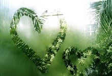 博鱼体育：亚冬会女子冰壶循环赛：中国队收获四连胜.