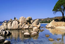 博鱼体育：斯波談絕平球策略 巴特勒的切入真心厲害 鄧羅的傳球功夫真不錯.